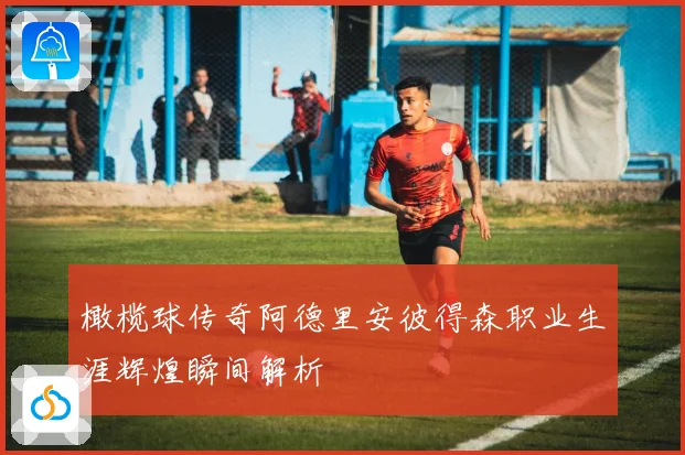橄榄球传奇阿德里安彼得森职业生涯辉煌瞬间解析