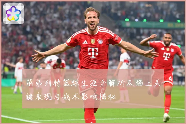 范弗利特篮球生涯全解析及场上关键表现与战术影响揭秘
