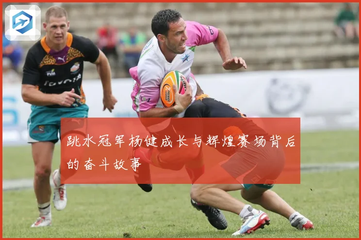 跳水冠军杨健成长与辉煌赛场背后的奋斗故事
